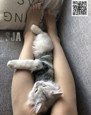 男女一边摸一边做爽爽_1080免费观看电视剧